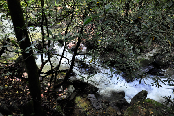 water flowing